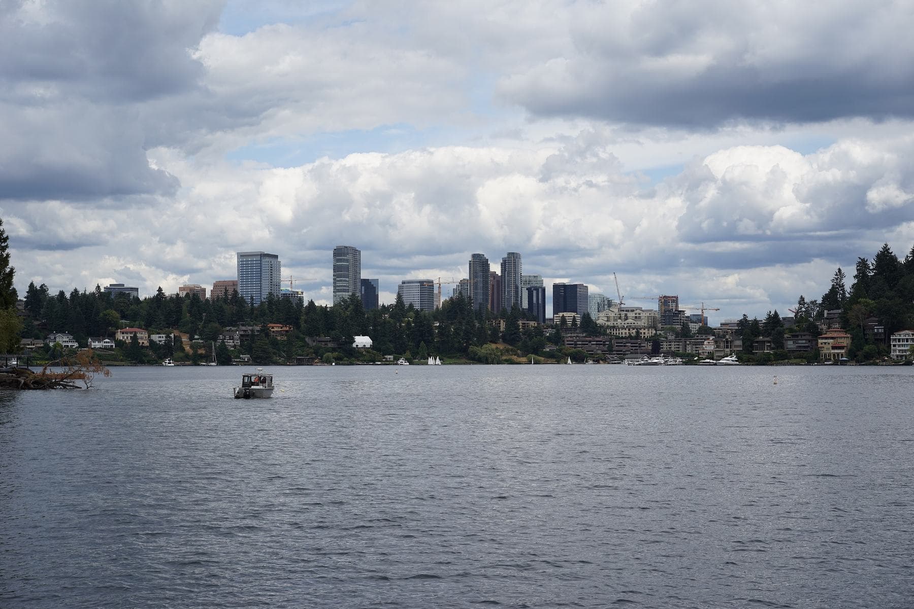 The Bellevue skyline above wooded shoreline homes, seen across Lake Washington under large white clouds