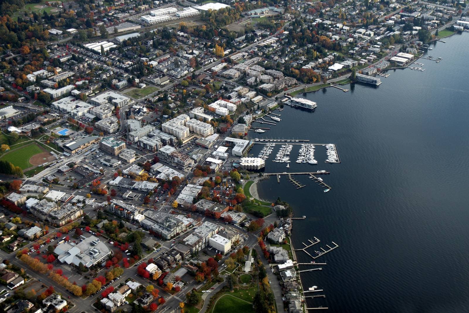 Aerial view of downtown Kirkland and its marinas on the shore of Lake Washington, with autumn trees in the streets