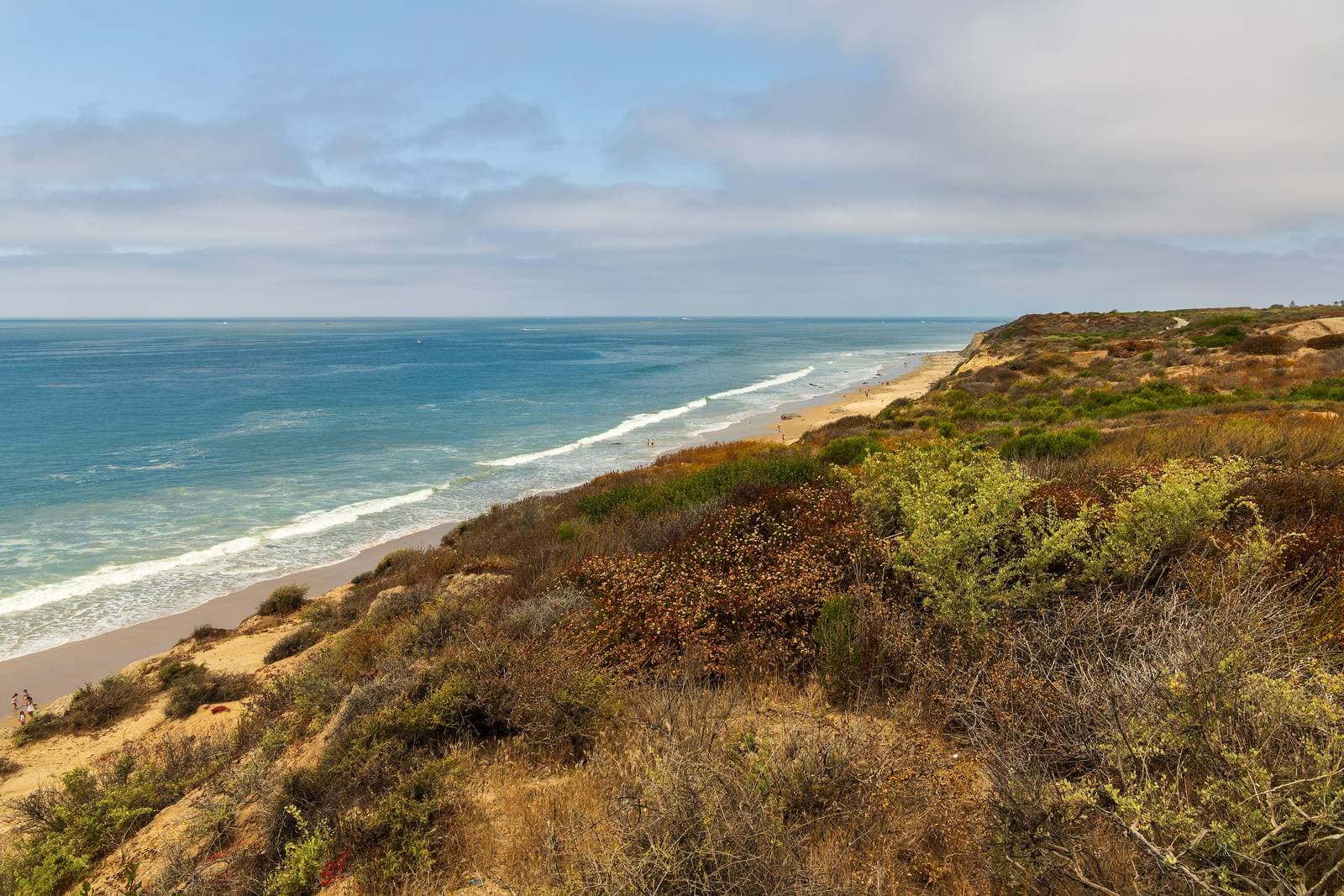 The Pacific shoreline at Crystal Cove seen from a coastal bluff covered in low scrub, with waves along a long sandy beach