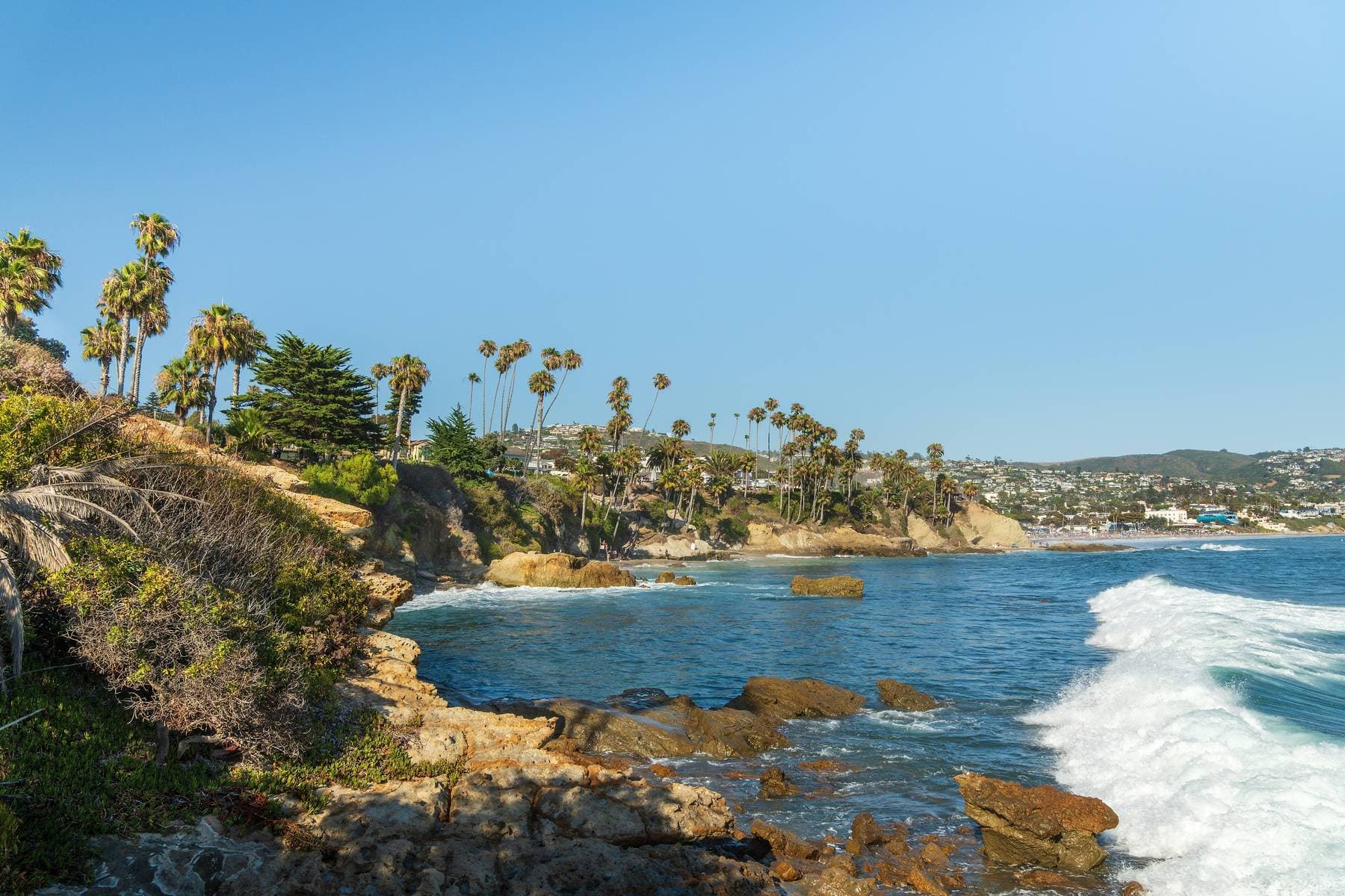 Palm trees along the rocky coastline at Heisler Park, with a wave breaking in the foreground and the town on the hills beyond