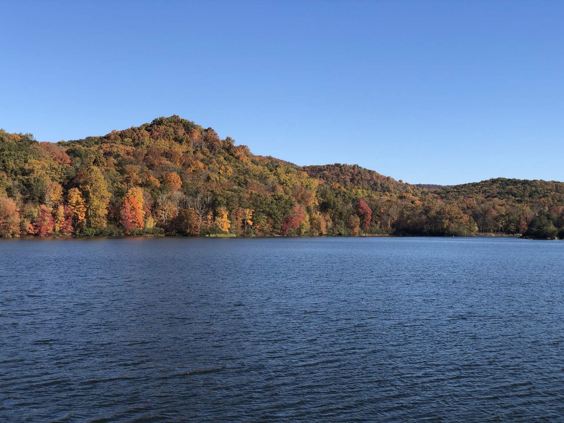 A wooded ridge in full autumn colour rising above the blue water of Monksville Reservoir under a cloudless sky